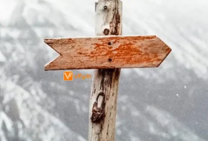 pdf invoice app user guide