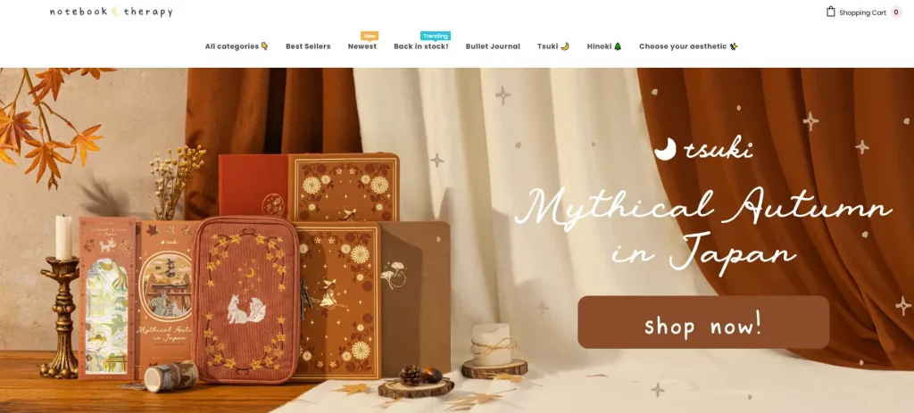 8 best dropshipping store examples