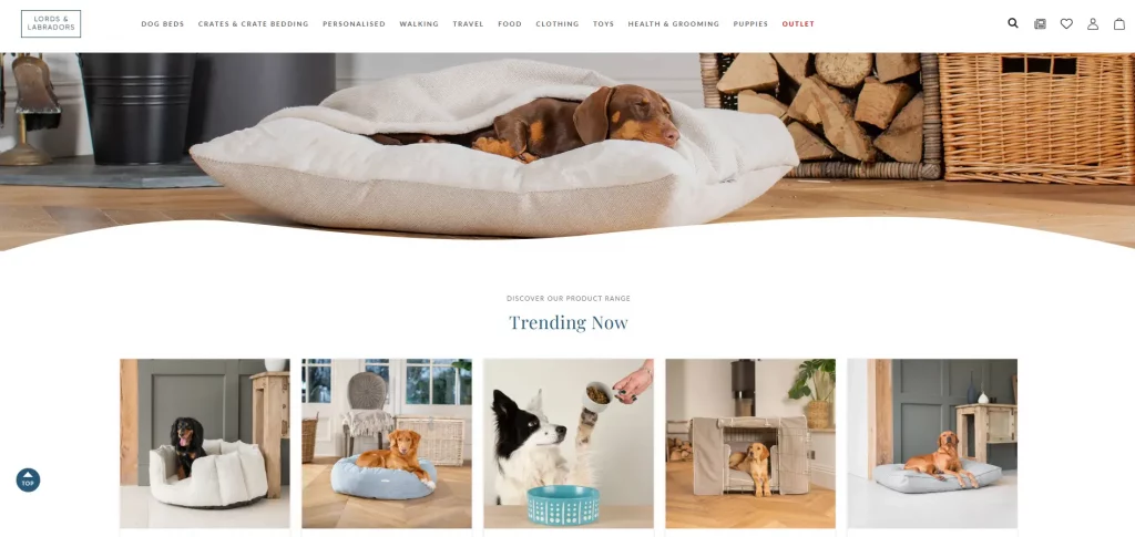 Best Products for Shopify Dropshipping: 6 Product Types That Hold Margin 8 best products to dropship on Shopify